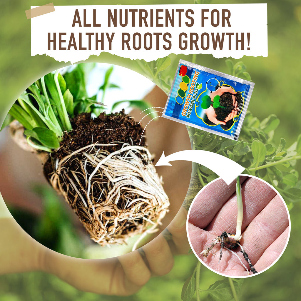 Growth Rooting Powder Plus