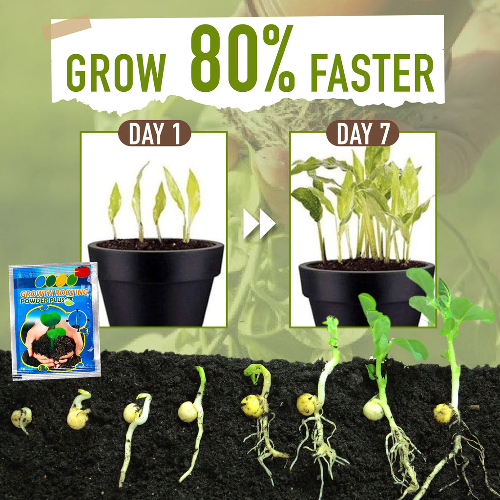 Growth Rooting Powder Plus