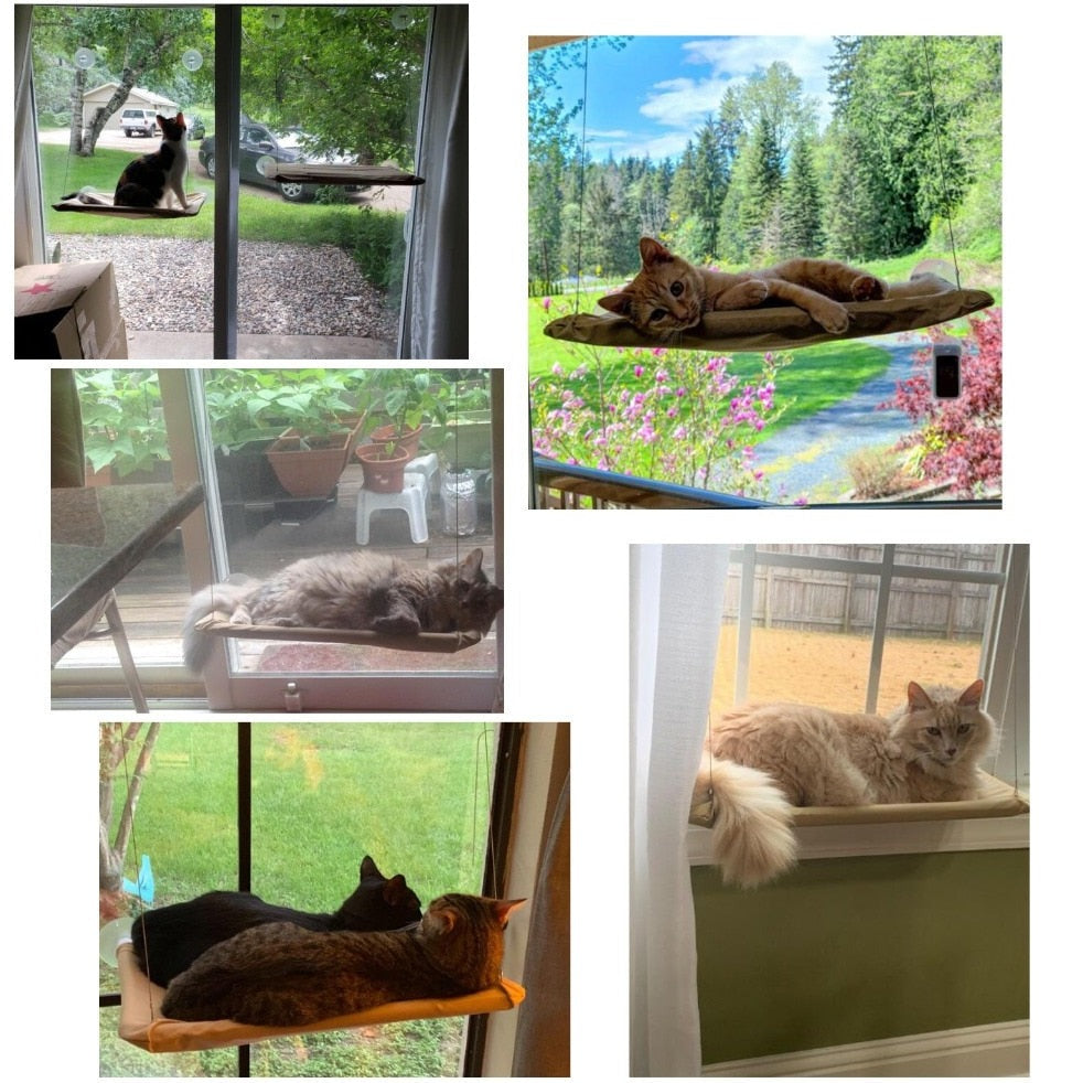 Cat Window Hammock