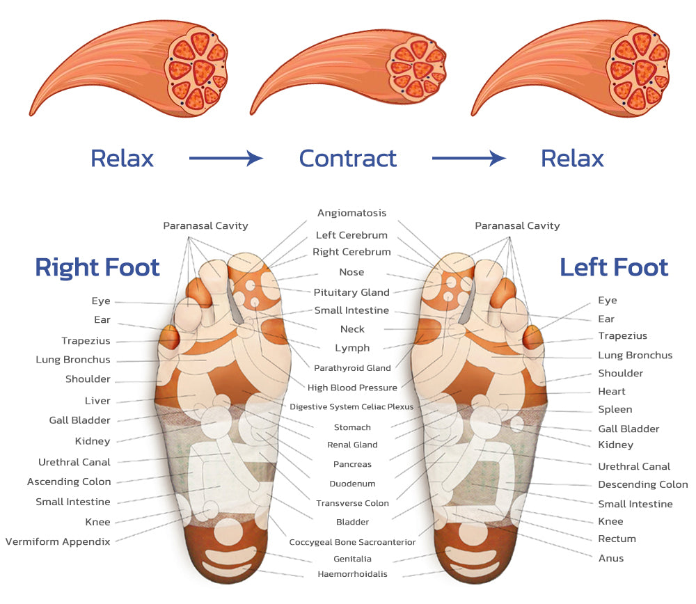 EMS Bioelectric Acupoints Massager Mat