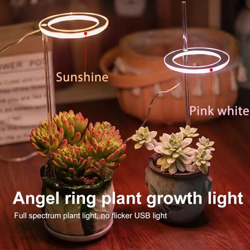 Kiora™ Grow Lights for Indoor Plants