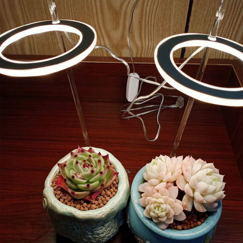 Kiora™ Grow Lights for Indoor Plants