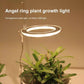 Kiora™ Grow Lights for Indoor Plants