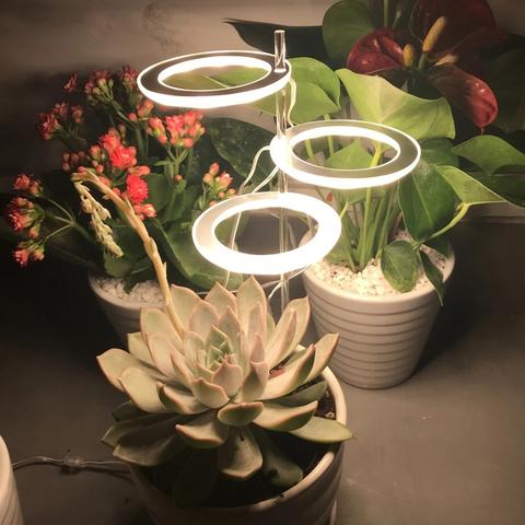 Kiora™ Grow Lights for Indoor Plants