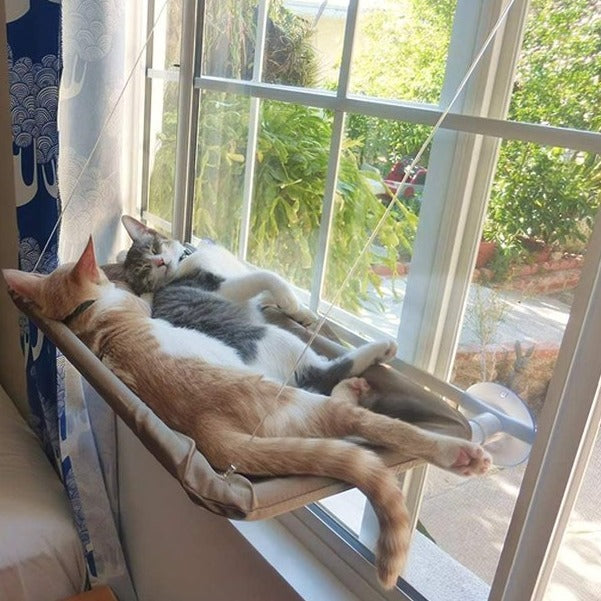 Cat Window Hammock