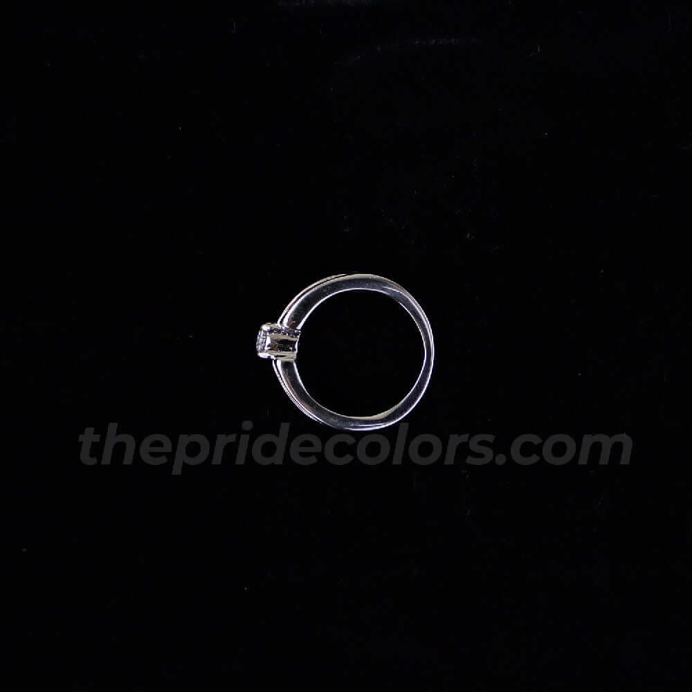 Pride Promise Ring | LGBT+ Ring | LGBT+ Merch  ( Limited Time Sale )