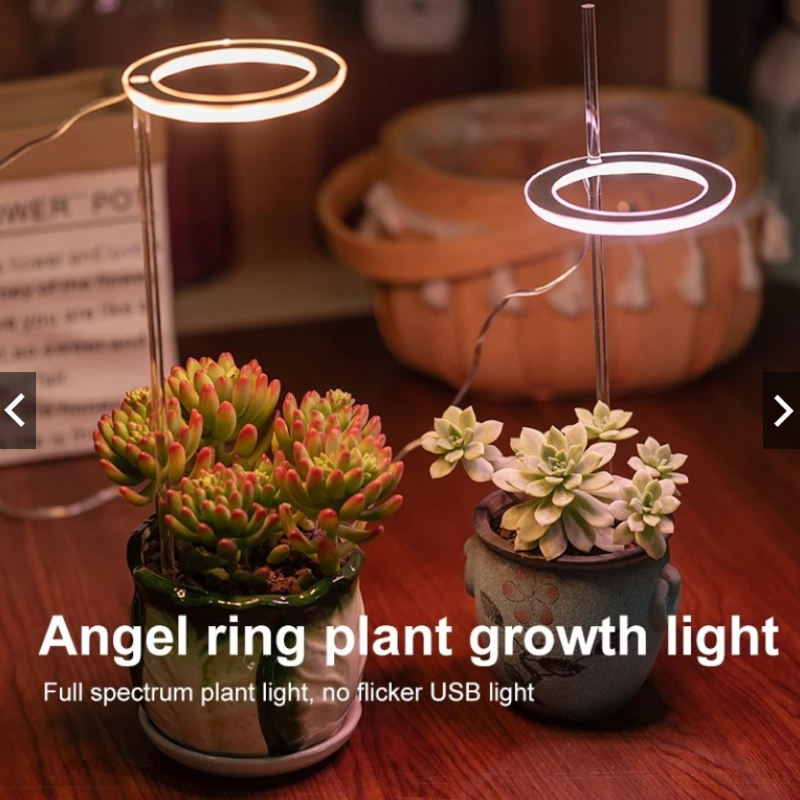 Kiora™ Grow Lights for Indoor Plants