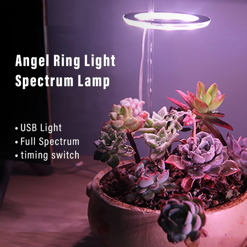 Kiora™ Grow Lights for Indoor Plants